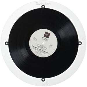 Degritter 10-Inch Record Adapter