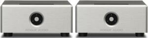 Rogue Audio DragoN Monoblock Amplifiers (Silver, PAIR)
